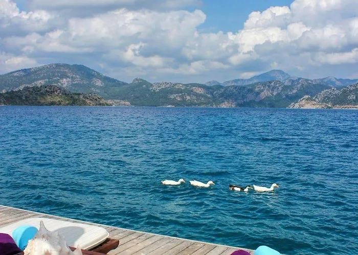 Hotel Losta Sahil Evi 2 (adults Only) *