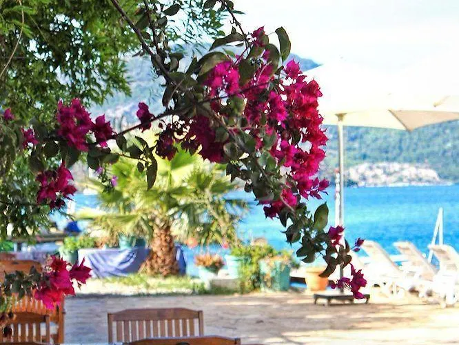 Losta Sahil Evi 2 (adults Only)